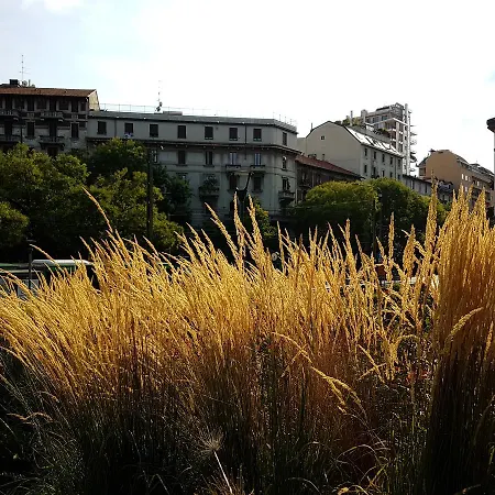 Toscale * Milano